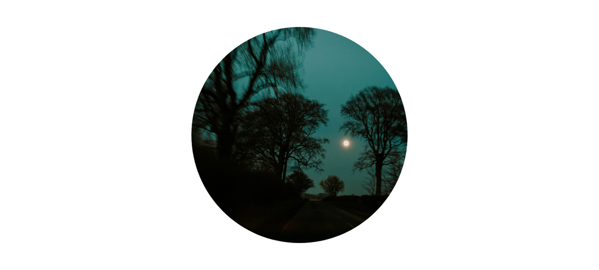 Embracing the Buck Full Moon