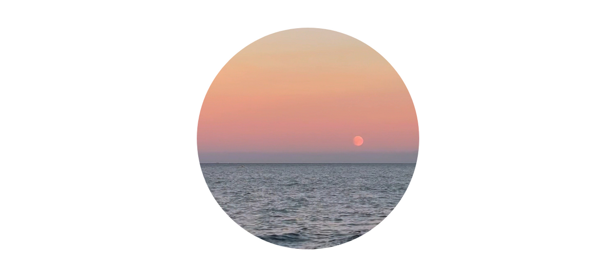 Reflect, Release, Recharge – Wellness Rituals for the Beaver Full Moon